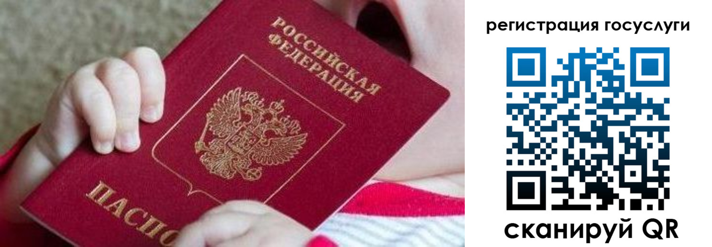 регистрация для школы в Сланцах